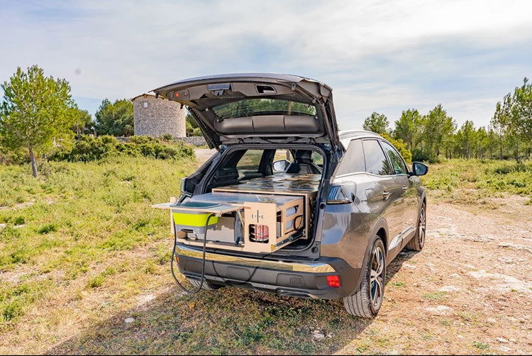 Gray Peugeot with FLV box in trunk